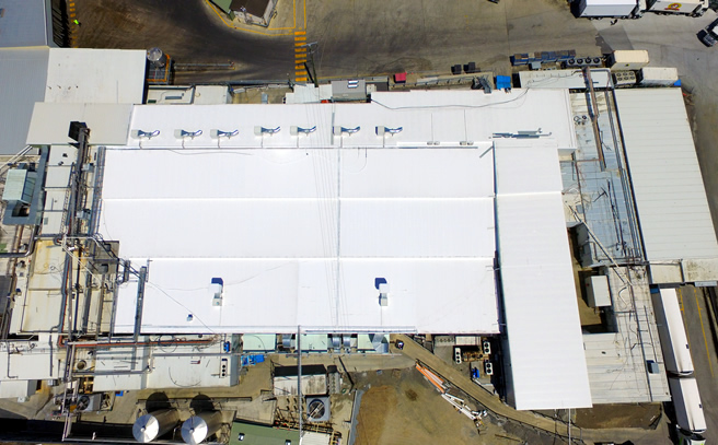 Nerang Park Poultry roof